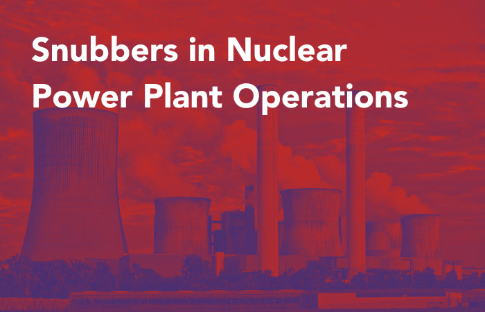 Ensuring Stability: Snubbers in Nuclear Power Plant Operations- InterTest