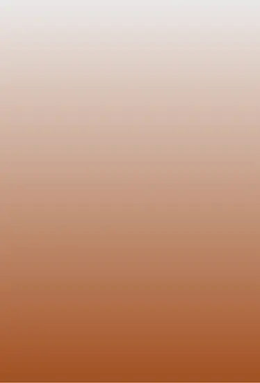 Sierra Olympia Tech Viento Cameras-InterTest