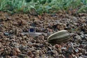 In the World Series Starting Line up, DIRTCAM, A Specialty POV Camera Custom Engineered for Inertia Unlimited - InterTest, Inc.