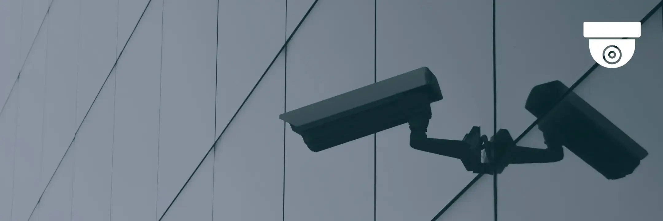 video surveillance industry RVI desktop banner