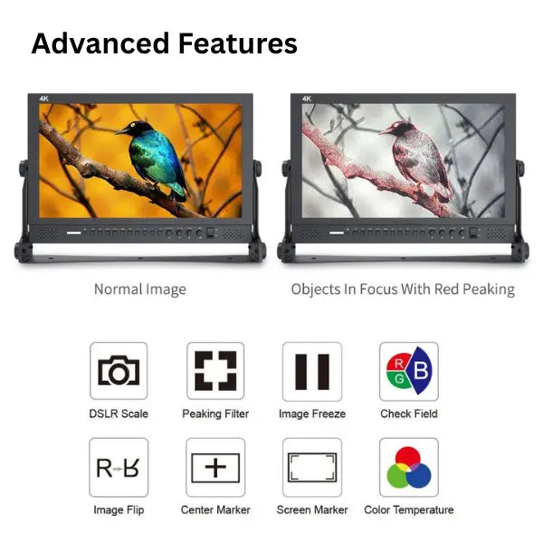 control monitor side by side with image icons for features