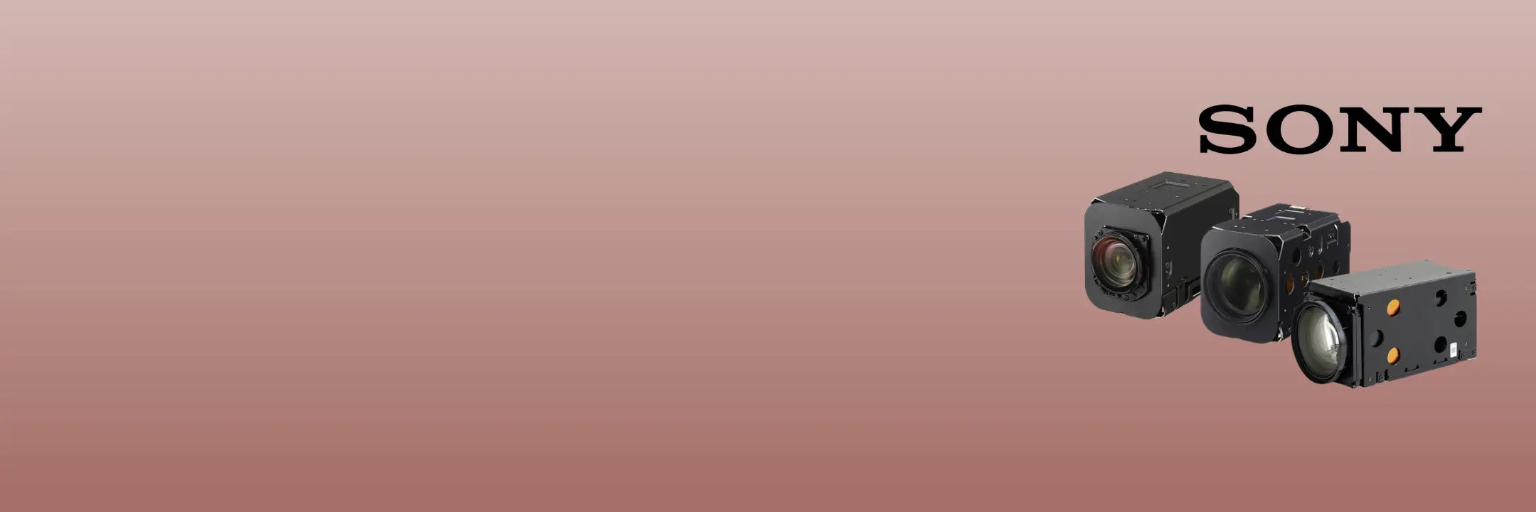 Sony FCB Block Cameras